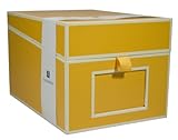 Semikolon Multimedia CD/DVD/Photo Storage Box, Sun Yellow (31801)