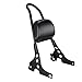 INNOGLOW Motorcycle Black Detachable Solid Steel Sissy Bar and Passenger Backrest for Harley Sportster XL 883 1200 2004-2018