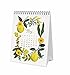 Rifle Paper 2018 Herb Garde Desk Calendar