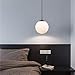 Light Society Zeno Globe Pendant, Frost White with Black Finish, Contemporary Mid Century Modern Style Lighting Fixture (LS-C175-BK-WH)
