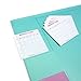 There`s 21 X 13 Inch Desk Pad with AHZOA 14 Monthly Calendar Cards (Cool Mint)