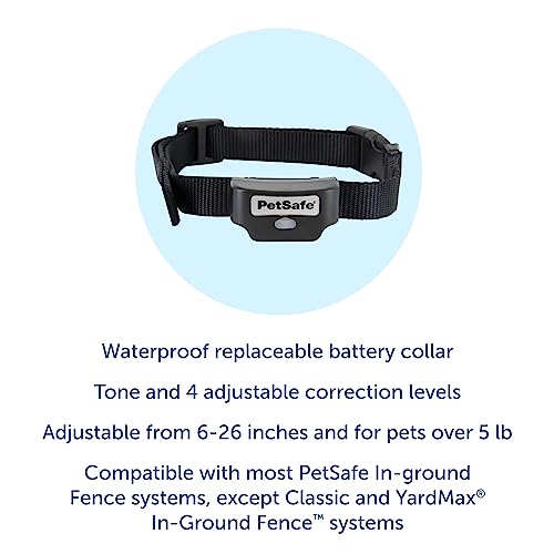 PetSafe Rechargeable InGround Pet Fence Receiver Collar for Cats and