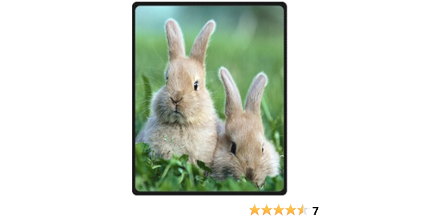 do bunnies need blankets