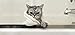 Microfiber Pros Dog Towels – Pack of 2 in Large 20