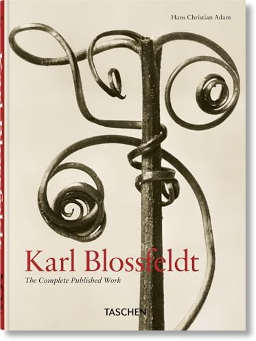 Karl Blossfeldt: Working Collages: Wilde, Ann, Wilde, Jurgen