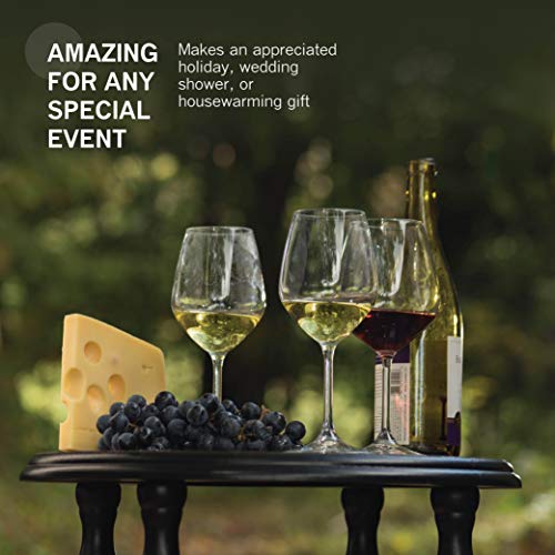 Bormioli Rocco Italian White Wine Glasses 14 Ounce Crystal Clear, Laser