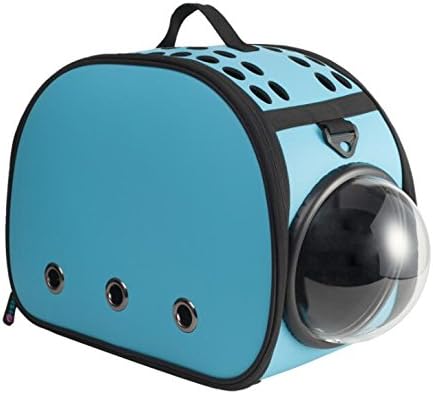 parson russell terrier hunting