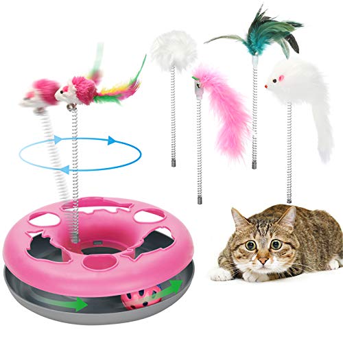 cat pet toy
