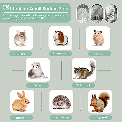 Bissap Sweet Bamboo Chew Sticks for Rabbits 500g/1.1Ib, Bunny Molar