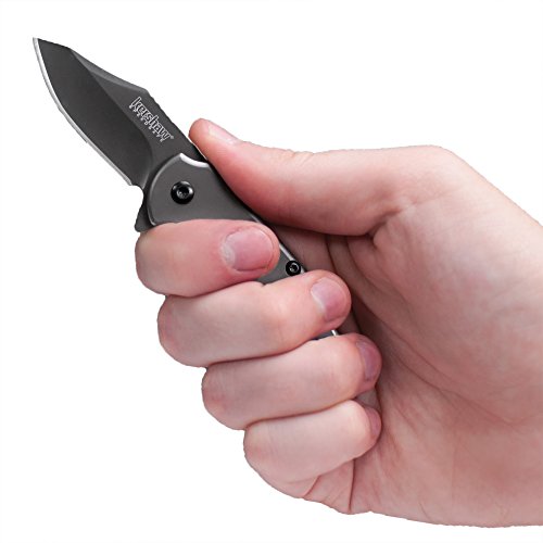 Kershaw Ember (3560) 2 Inch Modified Drop Point Matte Grey Pocket Knife
