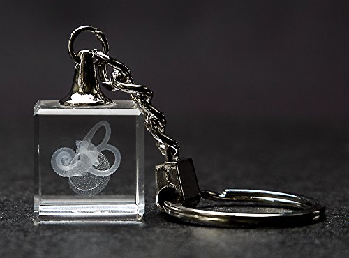 Ear Drum, Bones, Cochlea 3d Laser Crystal Key Chain, Anatomy, Doctors, Audiologist, Deaf