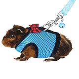 Rypet Guinea Pig Harness and Leash - Soft Mesh