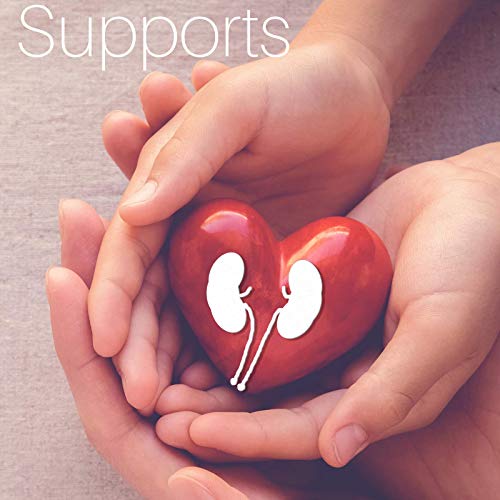 SpeedyVite Kidney Bladder Tea (8oz) Herbal Supplement Organic Cleanses & supports urinary tract health - Marshmallow root Dandelion leaf Goldenrod Juniper Hydrangea +more Natural Detox - Thumbnail 2
