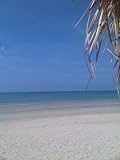 Blue Sky Day