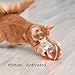 WendyMom Motion Activated Cat Toy Interactive Ball, Catch The Chick, Small