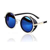 Arctic Star Retro Round Sunglasses Sunglasses