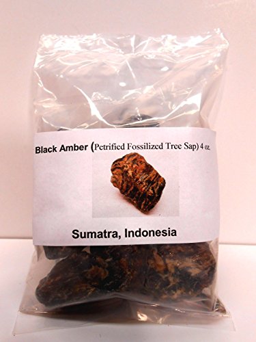 Black Amber-Genuine Petrified fossilized tree sap from Sumatra, Indonesia 4 oz
