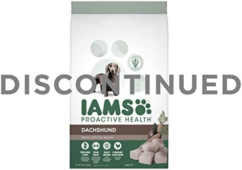 iams dachshund