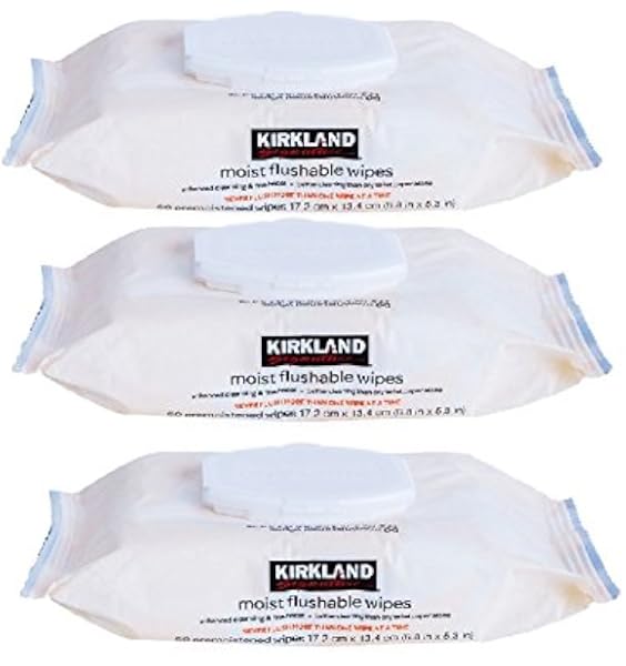 kirkland bathroom wipes