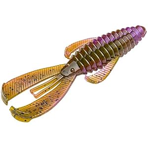Strike King Rgbug-807 Rage Bug, Tourbillon Vert Citrouille Violet