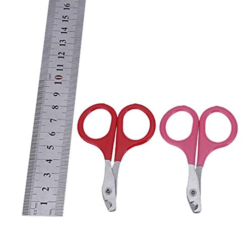 STORE-HOMER - 5pcs/Pack Sharp Blade Pet Nail Scissor Set Stainless Steel Dog Pet Toe Nail Claw Clippers For Pet Trimmers Nail Cutting Tool - Thumbnail 5