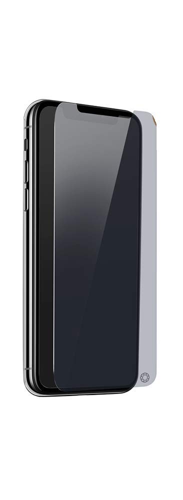 Forceglass Tempered Glass Screen Protector with Installation Kit for iPhone XS Max Smoke