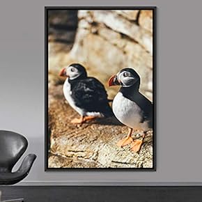 signwin Framed Canvas Wall Art Double Birds Birds...