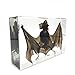 Taxidermy Real Bat Specimens Science Classroom Specimen for Science Education（5.3