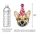 Silvima Dogs Birthday Garland, Funny Corgi Face Portrait Birthday Banner, Dog Bday Bunting Decoration