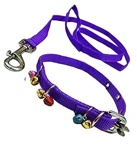 SI Pet Mart Nylon Puppy Dogs Collar Belt and Leash (Extra Small), Nylon, (Pack of 1)