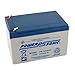 Powersonic PS-12120F2-12 Volt/12 Amp Hour Sealed Lead Acid Battery with F2 Terminals