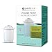 Santevia Water Filter Pitcher Replacement Filter, Single, Compatible with Santevia Classic Pitchers Only, Alkaline, Adds Back Minerals