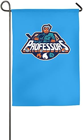 Summer Window Flag With New York Islanders Pokemon