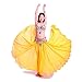 ROYAL SMEELA Chiffon Belly Dance Skirt for Women Belly Dancing Costume Outfit Tribal Maxi Full Skirts Solid Color Skirt Voile