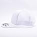 Flexfit Yupoong 6606,6606T Retro Trucker Hat, White, One Size