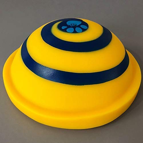 run fetch play woof frisbee