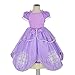 Dressy Daisy Toddler Girls' Princess Dress Up Costume Cosplay Fancy Party Long Dress Size 3T - 4T
