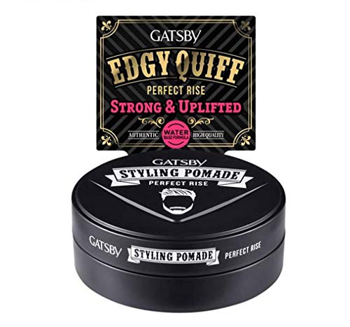 GATSBY Perfect Rise Water-based Styling Pomade for Quiff Hairstyles 2.65oz (75g) (Best Hair Wax For Quiff)