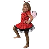 Lady Bug with Antennae Headband and Detachable Wings