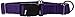 GoGo Pet Products Martingale Gentle Training Collar, Medium/Large, Purple