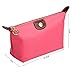 Bestrice iConic-Frame Pouch-Cosmetics Case Makeup Bag Travel Accessory Organizer (Pink)