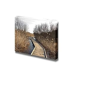 Wooden Pathway Over a Swamp Area in Th...