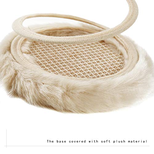 Andiker Interactive Cat Toy, Cat Plush Toy with Spiral Spring Plate and Funny Ball or Mouse Interact - //medicalbooks.filipinodoctors.org