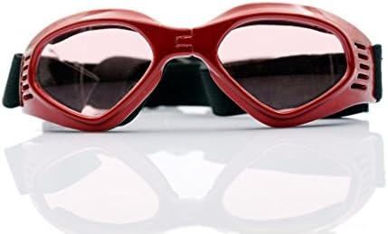 red dog sunglasses