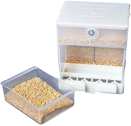 webeauty Parrot Automatic Feeder,No-Mess Bird Feeder,Food Container for Budgerigar Canary Cockatiel Finch