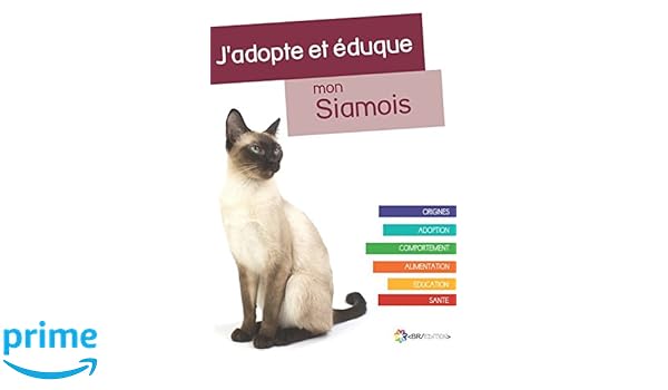 Jadopte Et éduque Mon Siamois Origines Adoption