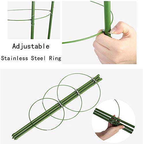 Anzmtosn Large Size 24INCH Garden Plant Support Ring Large Size Garden Trellis Flower Stainless Steel Support Climbing Vegtables&Flowers&Fruit Grow Cage with 3 Adjustable Rings 60CM (2PCS) - Thumbnail 3
