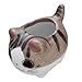 Bluecell Mini Ceramic Cute Animal Shaped Cartoon Home Decoration Vase Flower Pots Cat Shape Planter for Succulent Plant/Cactus Flower (Adorkable)