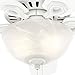 Hunter 42 inch Indoor Ceiling Fan with LED Light - White Ceiling Fan with Pull Chain, For Bedroom or Living Room, Standard Mount, No Remote, 5 Blades, Includes Bulbs - Builder 52217, Snow White