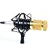 EARAMBLE Professional Studio Broadcasting Recording Condenser Microphone Recording Microphone with Shock Mount (Black)